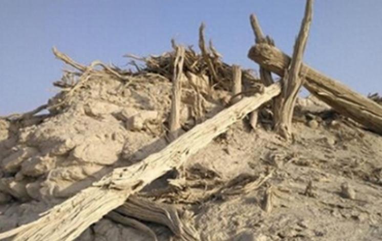 曾是生命禁区的罗布泊，如今发现了一座新的古城