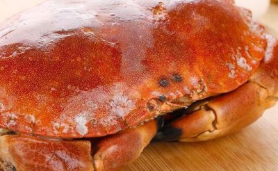 ​面包蟹可以水煮吗 熟冻面包蟹怎么水煮