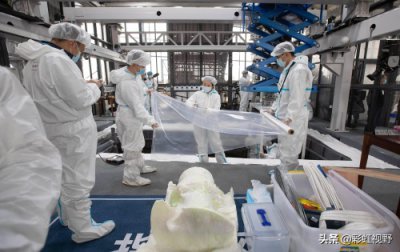 ​三星堆中8棵神秘的青铜神树，代表扶桑树还是生命树？