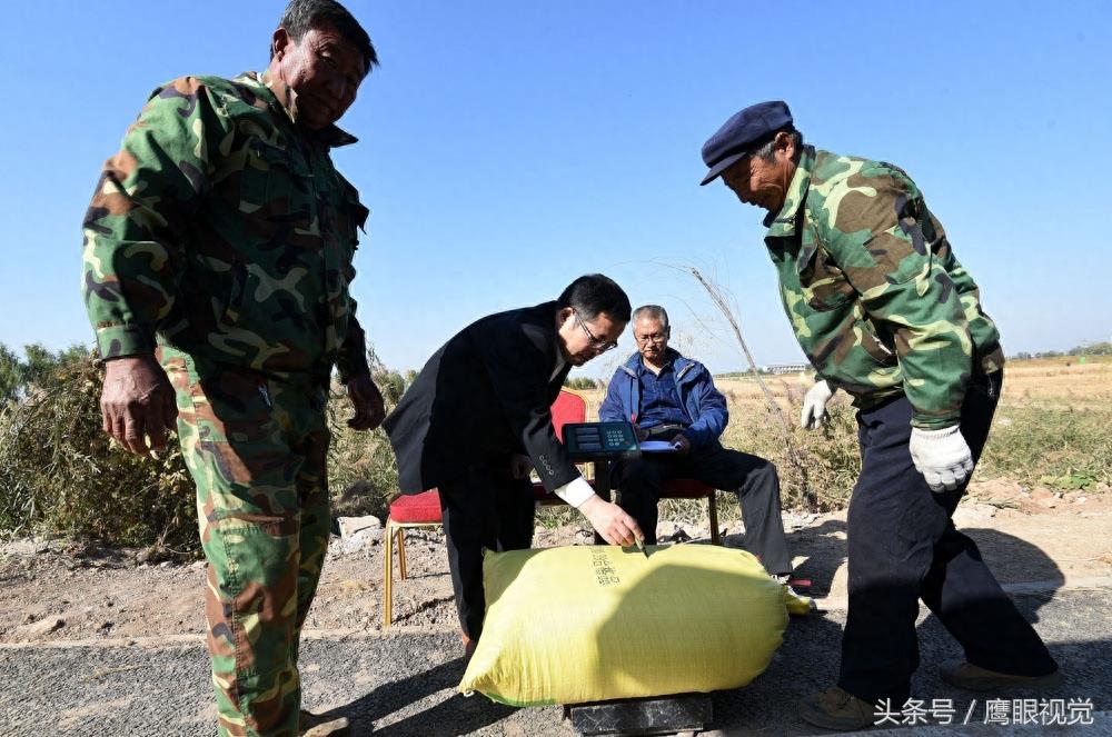 袁隆平院士的超级杂交水稻破世界纪录，亩产1203公斤、每公顷18吨