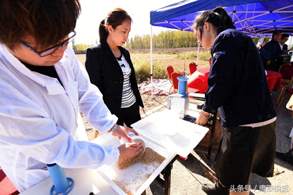 袁隆平院士的超级杂交水稻破世界纪录，亩产1203公斤、每公顷18吨