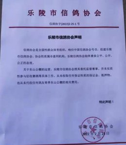 ​公棚拆了，老板跑路了，鸽子饿死了，保证金也没了