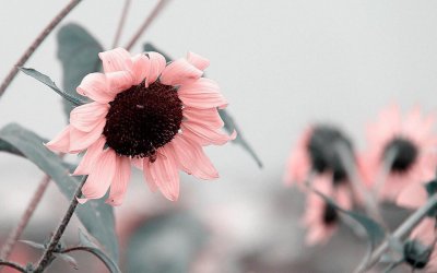 ​聊天也能涨知识？21个超级幽默的女生话题！