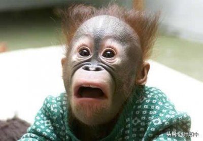 ​火山小视频赚钱教程拆解，只需要5招无脑操作的小窍门