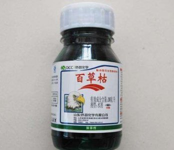 ​百草枯、草铵膦、草甘膦除草剂的异同