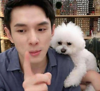 ​想养狗上班族，但做不到天天遛狗，可以选择这6种狗狗