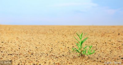 ​人为什么活着-是“为活着而活着”吗