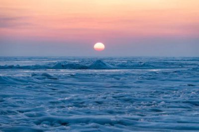 ​大白鱼“游”上餐桌