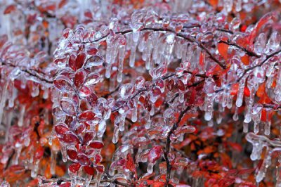 ​科普：到底什么是冻雨？为什么它可怕？