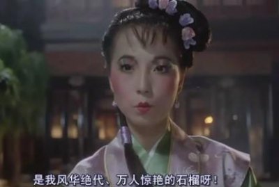 ​凭石榴姐爆红，又靠殷十娘感动无数人！苑琼丹的另类演艺之路