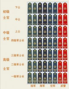 ​解放军中的士官是个什么“官”？士官的3大发展方向，未来可期