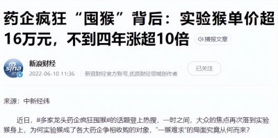 ​一只猴子卖16万 4年价格涨了10倍 魔幻