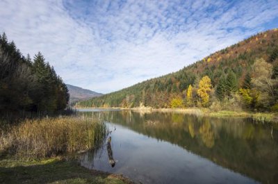 ​潘多拉的遗产：神秘盒子引发的洪水之战民间故事