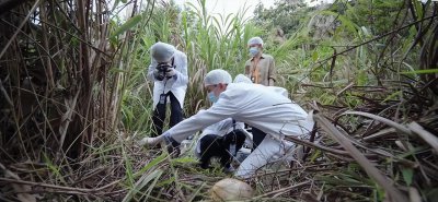 ​第一案就是“巨人观尸”，尺度有点猛！新版《法医秦明》来者不善