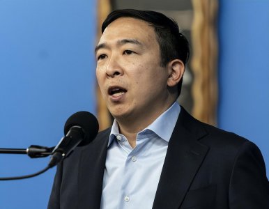 ​为华裔的身份羞耻，反华先锋，曾竞选美国总统，他是香蕉人杨安泽