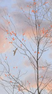 ​有哪些惊艳到你的民国情话，温柔动听，快来选一句送给你心中的他