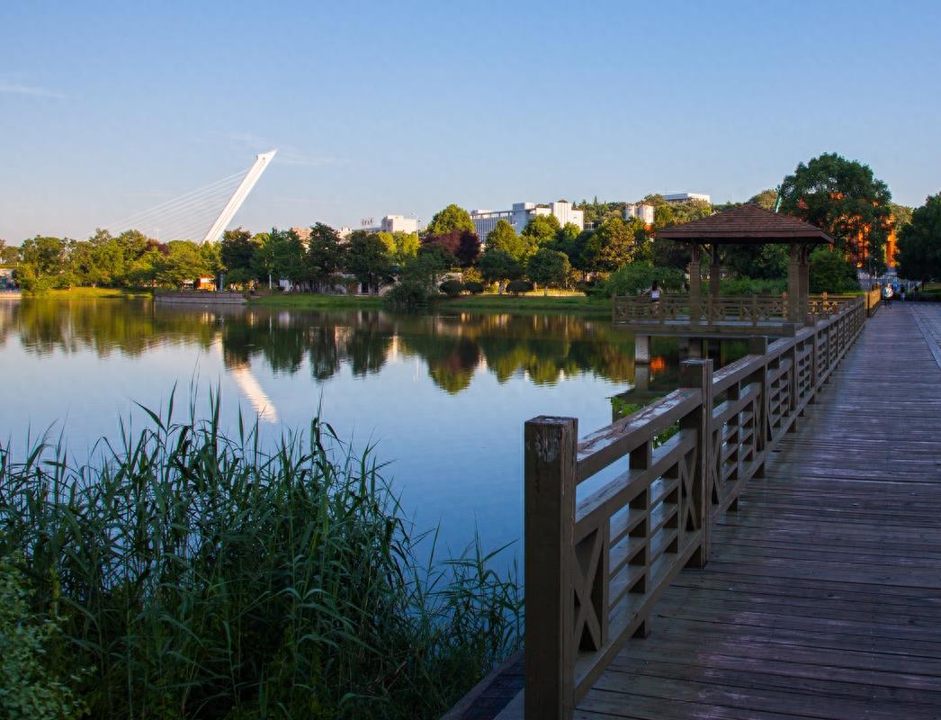 长沙月湖公园，“月湖十景”风景优美，免费的娱乐、休闲好去处