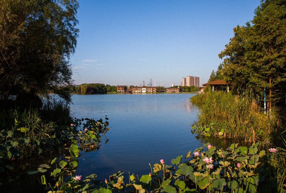 长沙月湖公园，“月湖十景”风景优美，免费的娱乐、休闲好去处