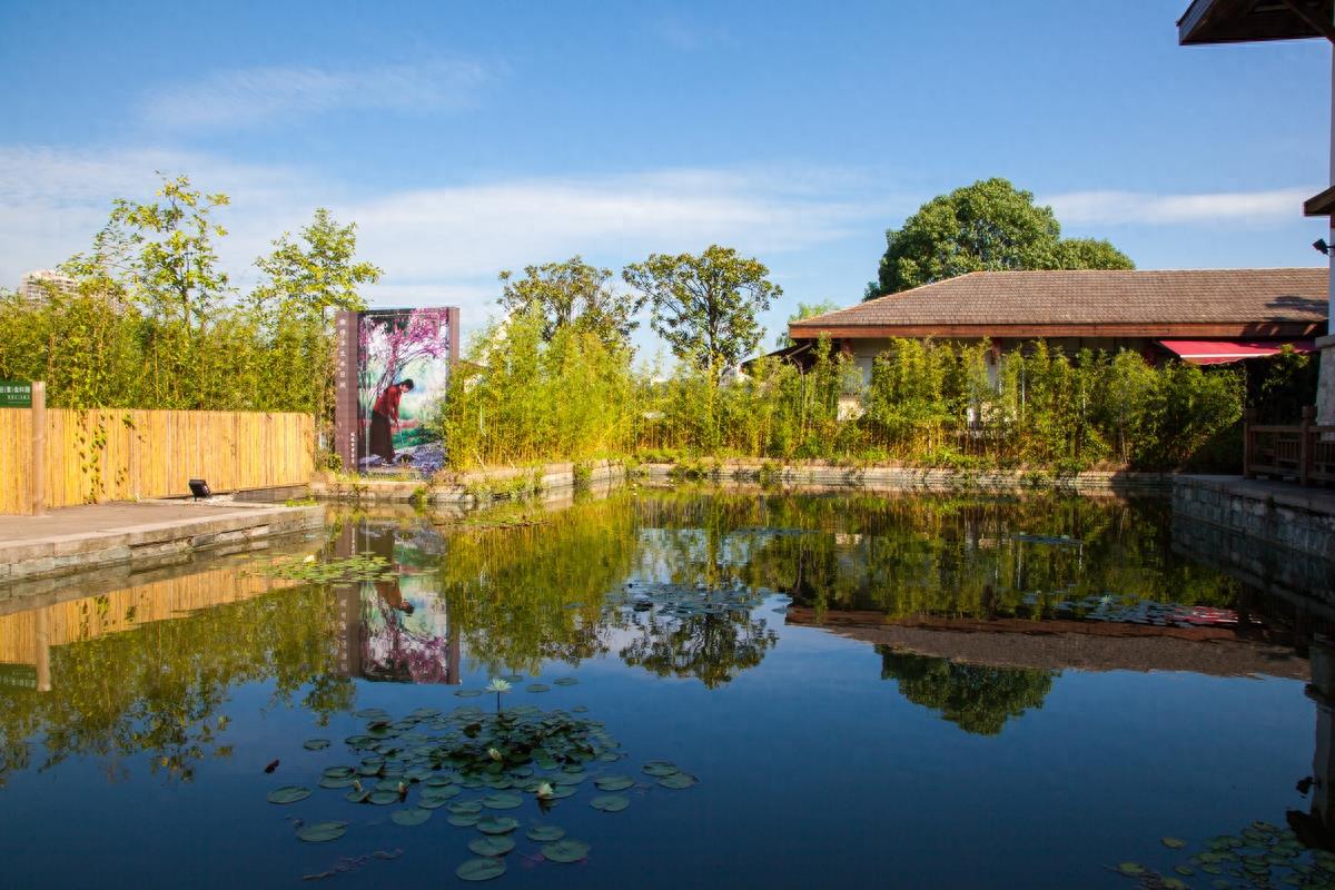 长沙月湖公园，“月湖十景”风景优美，免费的娱乐、休闲好去处