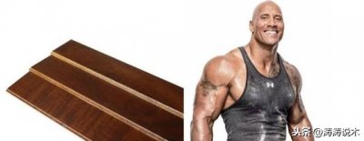 ​南美材中的超级硬汉--重蚁木