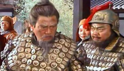 ​如何评价蜀汉将领严颜？