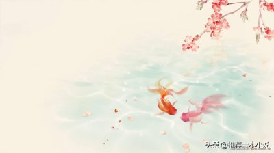 ​《作业借我抄抄》作者：半截白菜