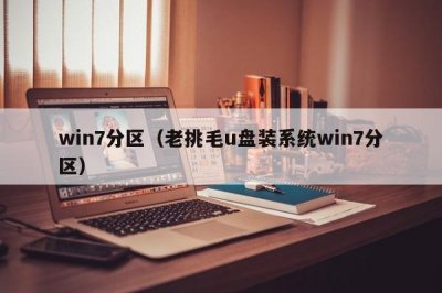 ​win7分区（老挑毛u盘装系统win7分区）