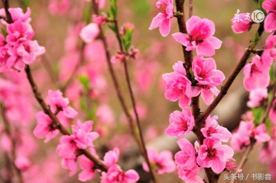 ​听完这十四首京韵大鼓，深深爱上了这门艺术