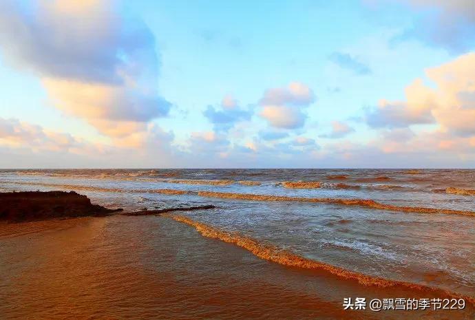 我国四大海域(我国大陆濒临的四大海域)