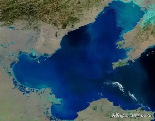 我国四大海域(我国大陆濒临的四大海域)