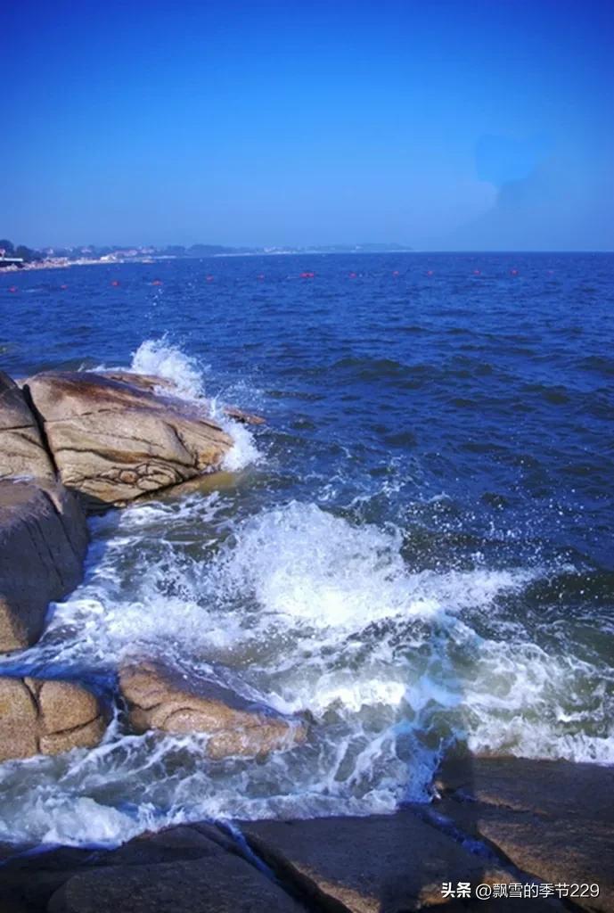 我国四大海域(我国大陆濒临的四大海域)