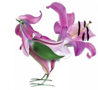 ​椹厜杩滐細杩欎竴骞达紝鈥滃厜杩滅湅缁忔祹鈥濅竴璺蛋鏉モ€︹€?