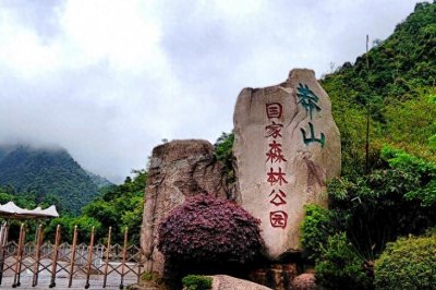 ​被瑶族奉为“小青龙”的莽山烙铁头，一条价值百万，现在怎么样了