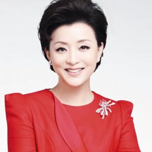 ​杨澜在ted演讲上演讲-重塑中国的年轻一代