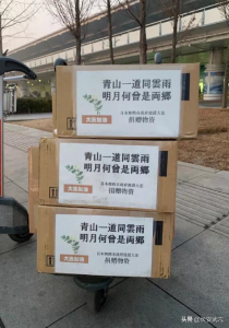 ​七绝圣手是指哪位诗人(王昌龄：被低估的七绝圣手，被妄杀的诗家天子)