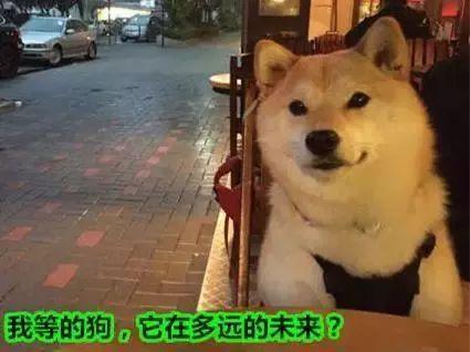 18岁以下禁入!桂林情趣主题酒店一览,情人节必备攻略!