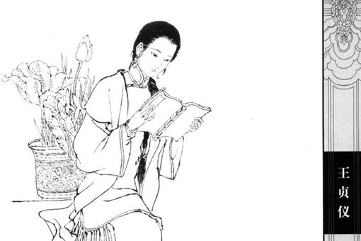 王贞仪的故事,王贞仪在历史上是个怎样的人?