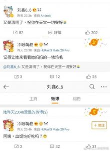 ​清明节刘鑫侮辱江妈再上热搜：我们的善良，要有锋芒