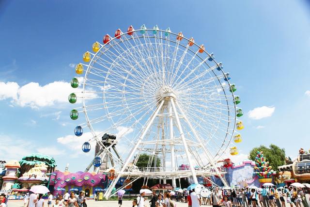 天意大概讲什么（又一个我们的记忆将要消失）(25)