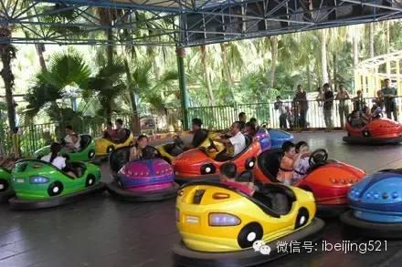 天意大概讲什么（又一个我们的记忆将要消失）(19)