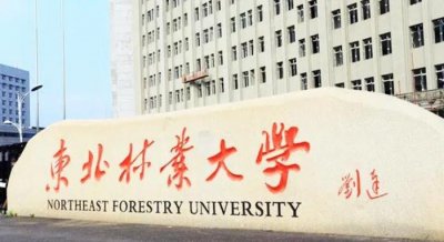 ​东北林业大学排名（东北林业大学(2021)）