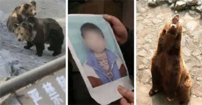 ​大案纪实 - 山西长治狗熊吃人案-令狐惠文