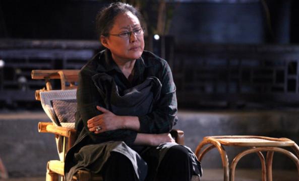 袁立斯琴高娃羊胎素事件澄清（斯琴高娃因羊胎素梗）(17)