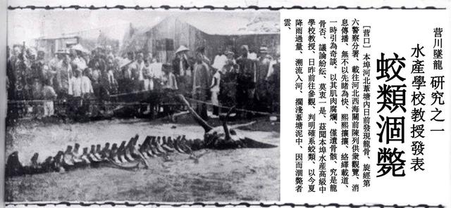 1934年营口坠龙事件的龙骨（2004年81岁老人上缴未知生物骨片）(4)
