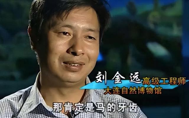 1934年营口坠龙事件的龙骨（2004年81岁老人上缴未知生物骨片）(6)