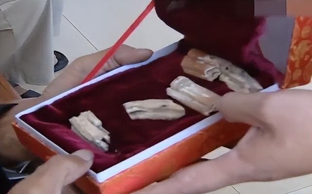 1934年营口坠龙事件的龙骨（2004年81岁老人上缴未知生物骨片）(1)