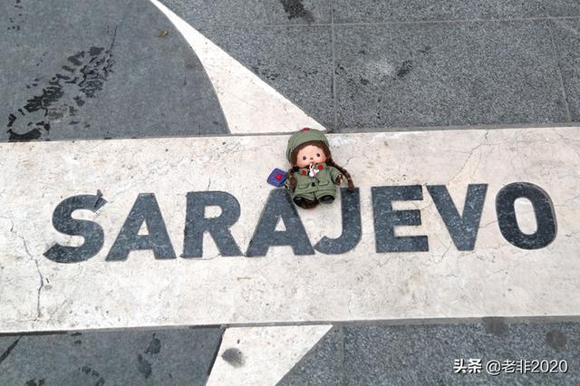 南斯拉夫解体成了哪些国家（南斯拉夫解体为7个国家）(11)