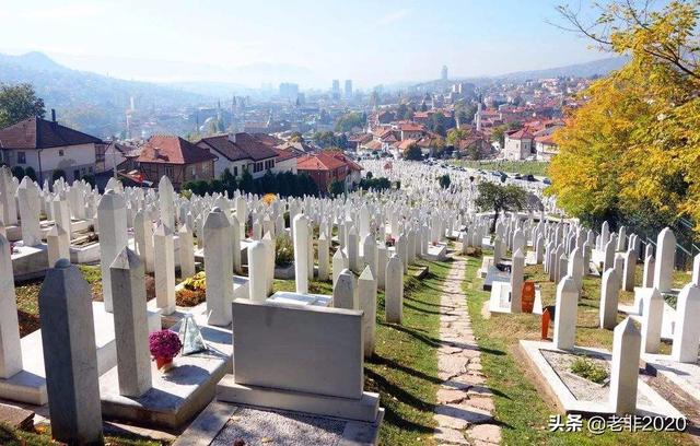 南斯拉夫解体成了哪些国家（南斯拉夫解体为7个国家）(7)