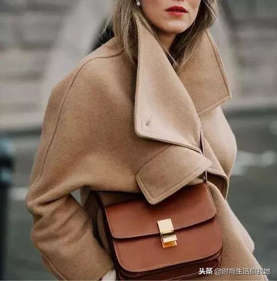颜色可以是百搭的浅驼色（永不褪色的优雅）(30)