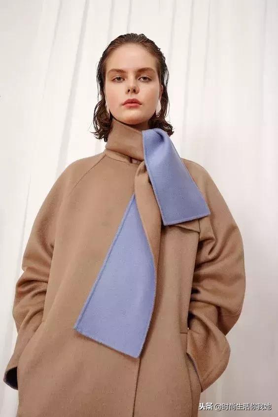 颜色可以是百搭的浅驼色（永不褪色的优雅）(29)